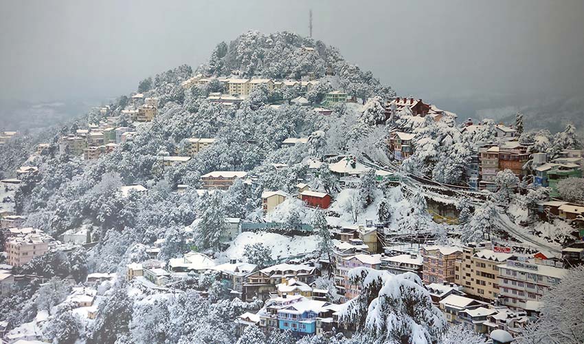 Travel Experiences in India