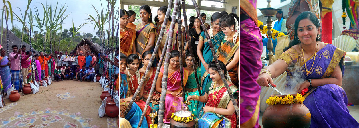 festivals-aotdec23