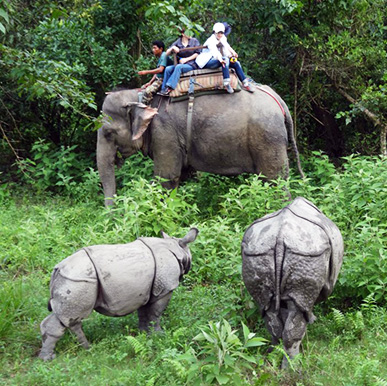 Taj Safaris Lodge in Nepal