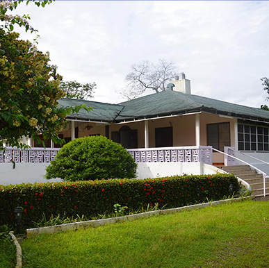 Octavius Tea Resort