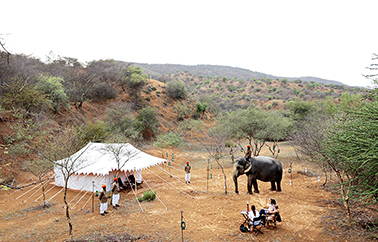 The Wilderness Camp at Dera Amer, Kukas Village near Jaipur