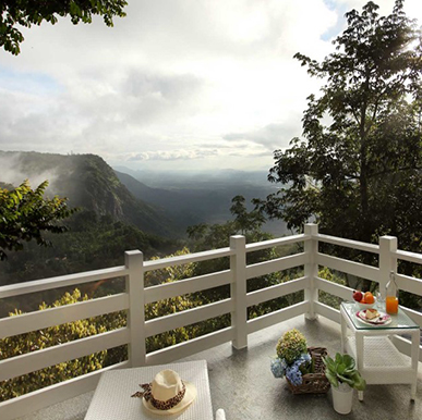 Hills & Hues – Thekkady