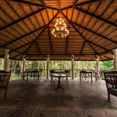 Pepper Trail, Kerala