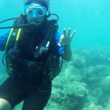 Under the Sea - Scuba Dive at Havelock