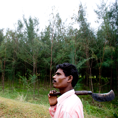 The Irulasting Experience - Mahabalipuram