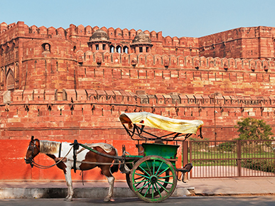 8 Things You Didn’t Know About Agra