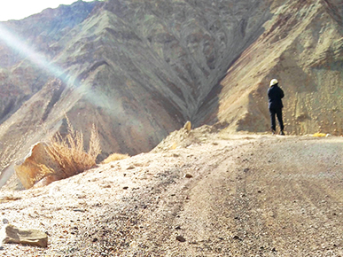 Observing the endangered Himalayan wildlife in Ladakh, in winters!