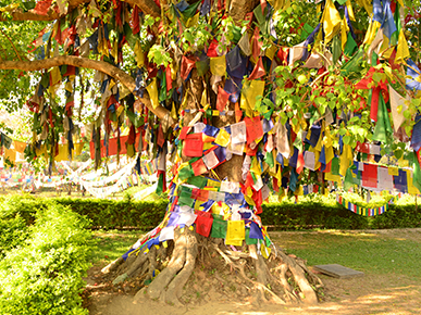 Lumbini in Nepal