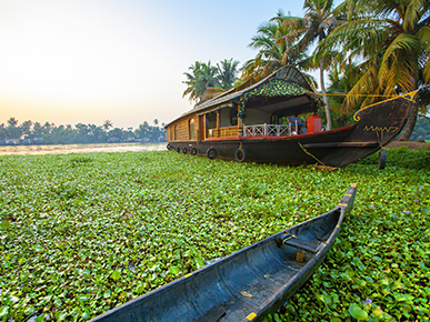 Good Morning Backwaters