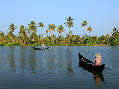 Good Morning Backwaters