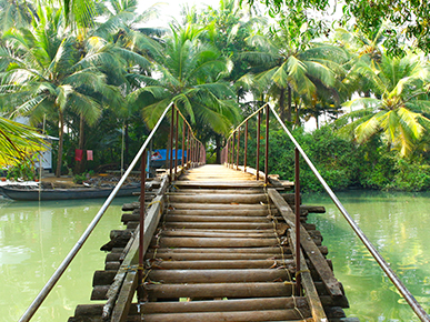 Good Morning Backwaters