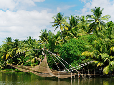 Good Morning Backwaters