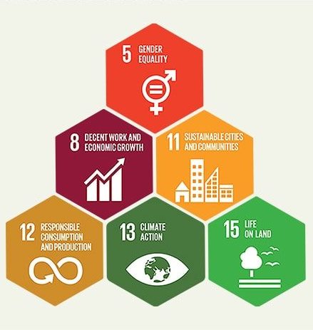 UN SDGs