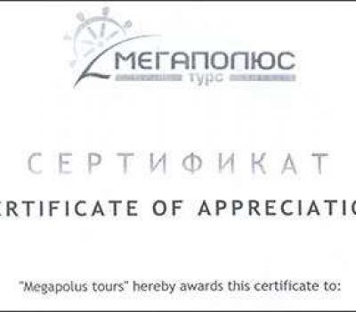 Best Foreign Megapolus Partner 2008