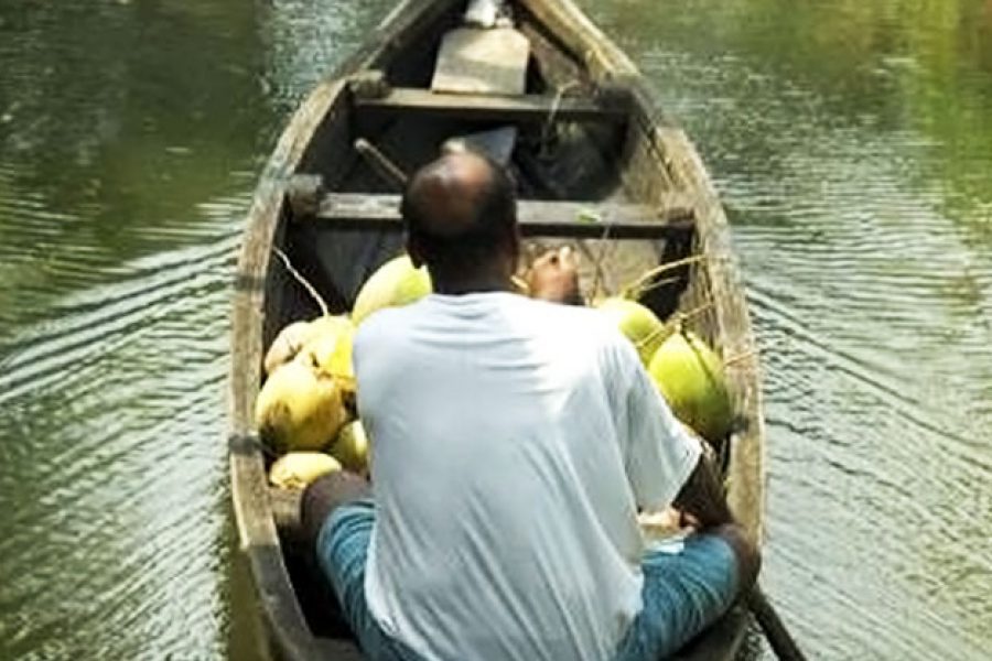 Redescobrir os remansos do Kerala