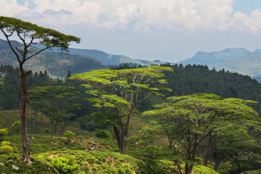 Le secret le mieux gardé du Sri Lanka