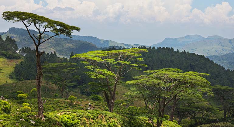 Le secret le mieux gardé du Sri Lanka