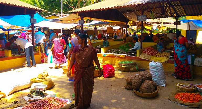 Andar de bicicleta pelas planícies de Tamil Nadu