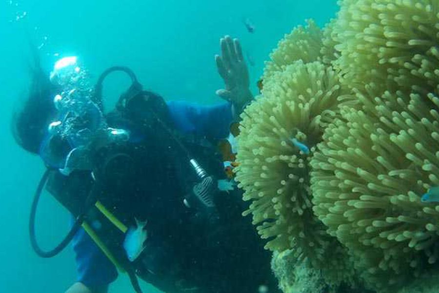 Into the Blue – Mergulho submarino em Havelock