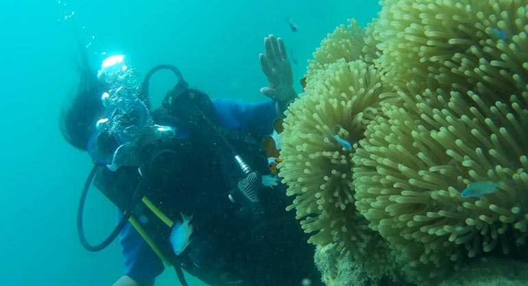 Into the Blue – Scuba dive at Havelock