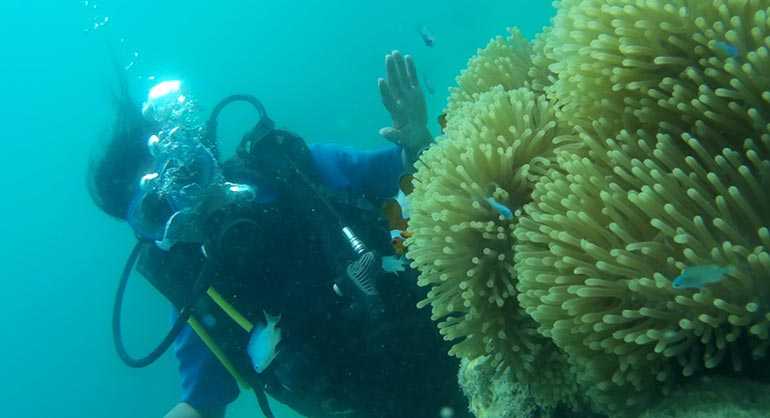 Into the Blue – Mergulho submarino em Havelock