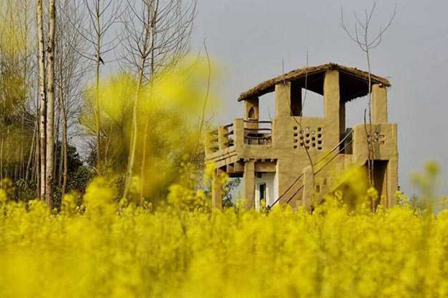 Stay at Punjabiyat, Gurdaspur