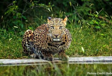 Gulabi-Shahar-The-Pink-City-1