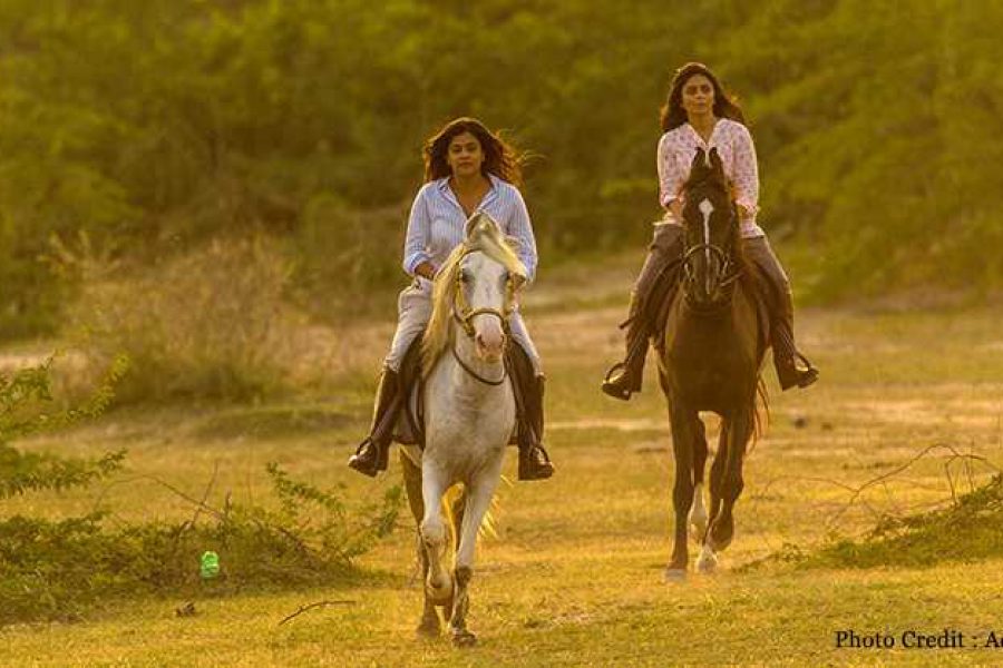 Gujarat selvagem: Passeio a cavalo no pequeno Rann de Kutch