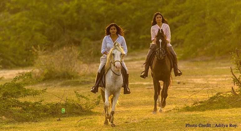 Gujarat Salvaje: Paseos a caballo por el Pequeño Rann de Kutch