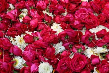 Exploring-the-charms-of-the-Bygone-era-1