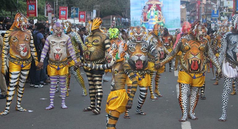 cheer-for-your-neighbourhood-tigers-1