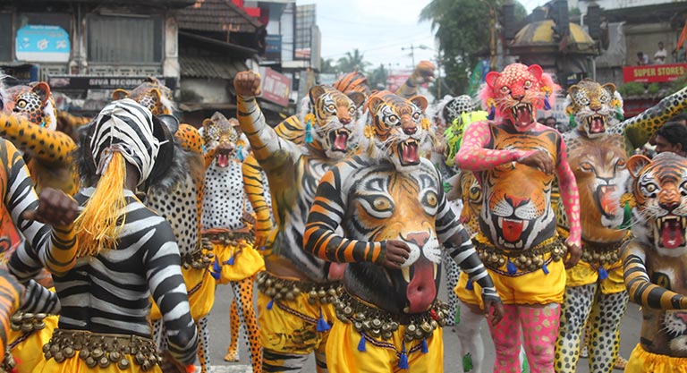 cheer-for-your-neighbourhood-tigers-5