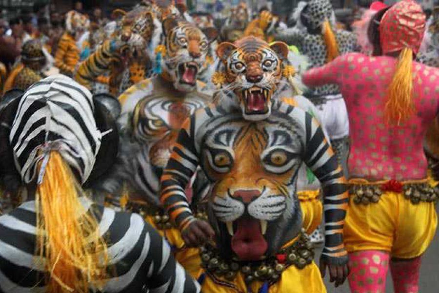 Torça pelo seu bairro Tigres