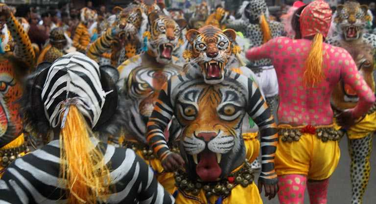 Torça pelo seu bairro Tigres