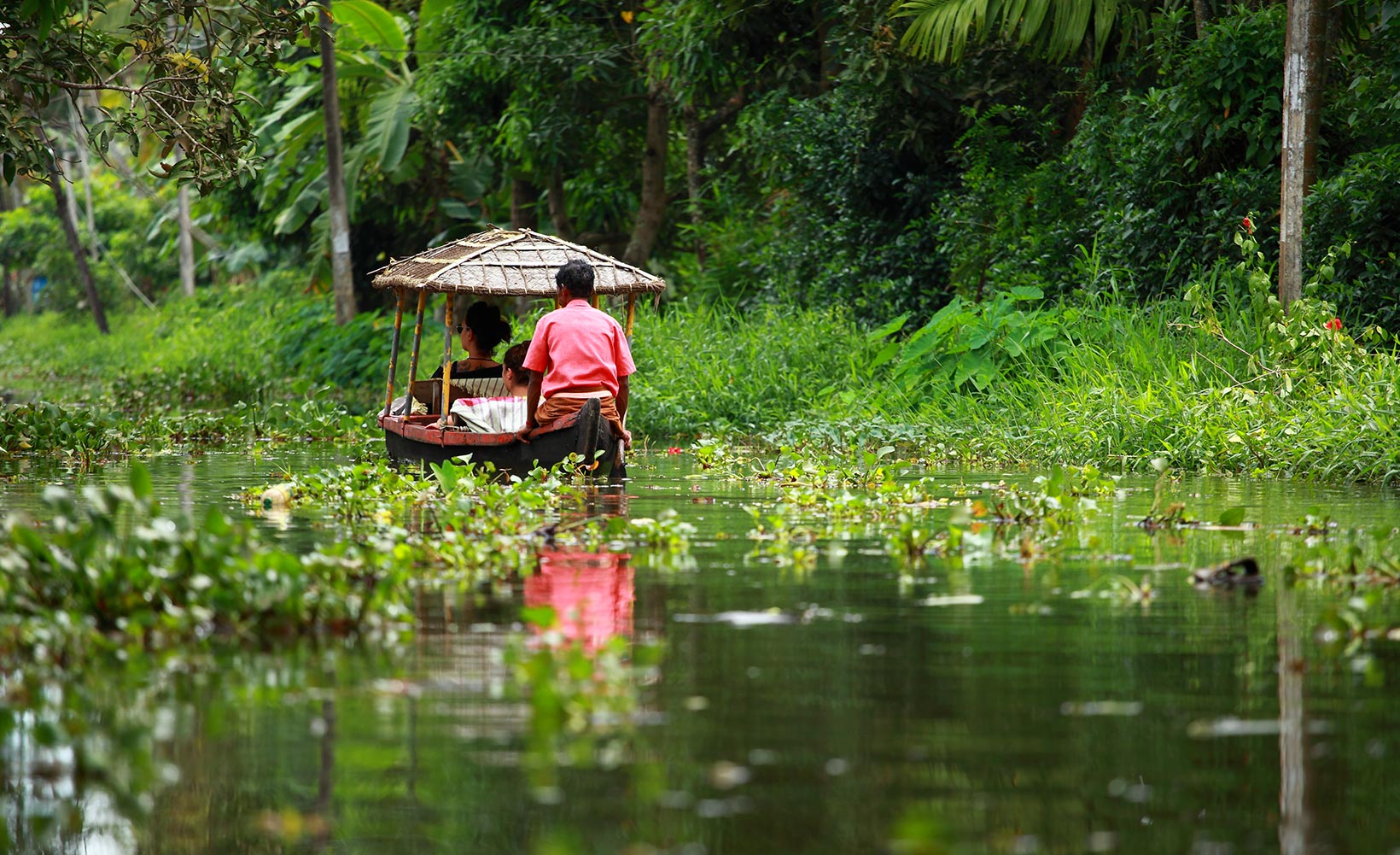 Descubra Kerala como un local con Sita India