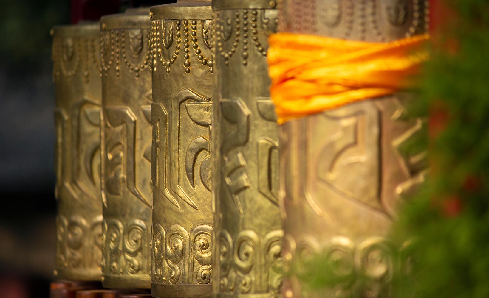 Dia de Buda: Mergulhe nas tradições espirituais
