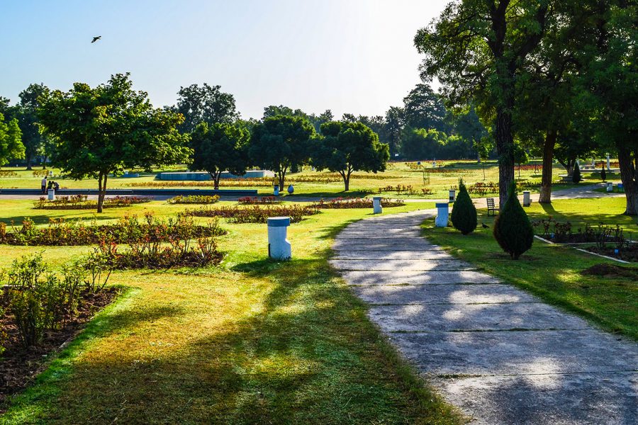 Le premier parc à chiens du nord de l’Inde à Chandigarh