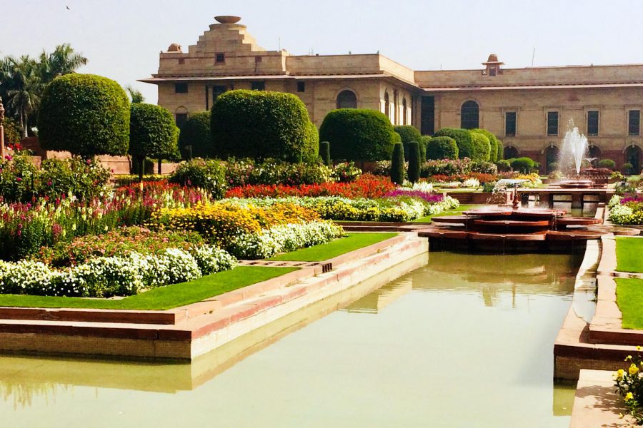 ¡Apunta la fecha! El Jardín Mughal abrirá sus puertas en breve mientras florecen las flores frescas