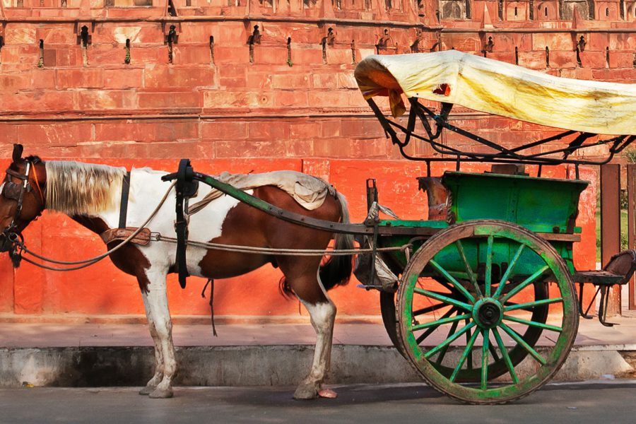 Dé un paseo más allá de las atracciones turísticas de Agra