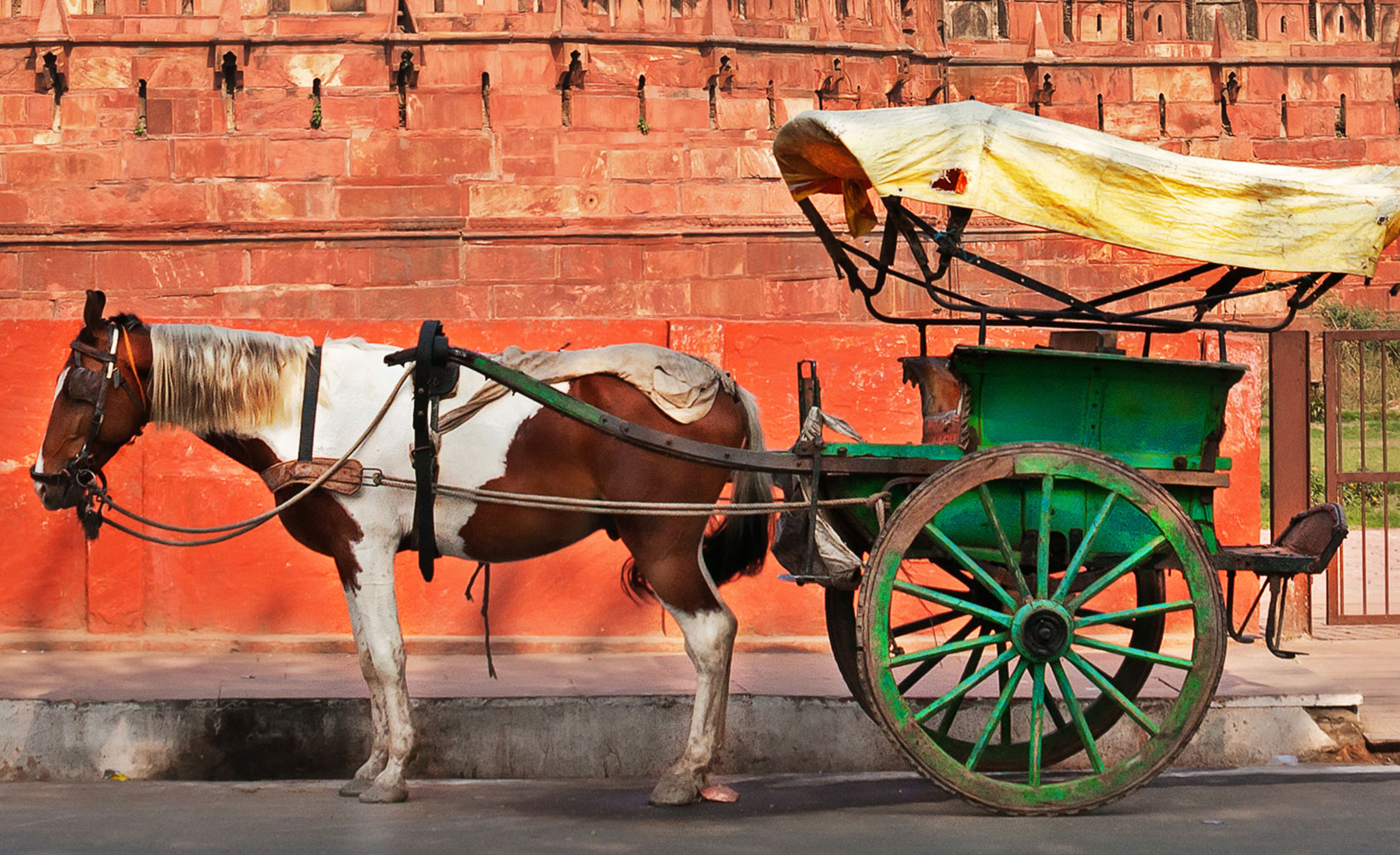 Dé un paseo más allá de las atracciones turísticas de Agra