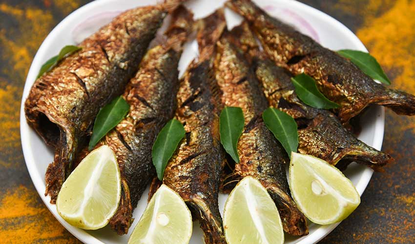 Best Seafood in Kochi