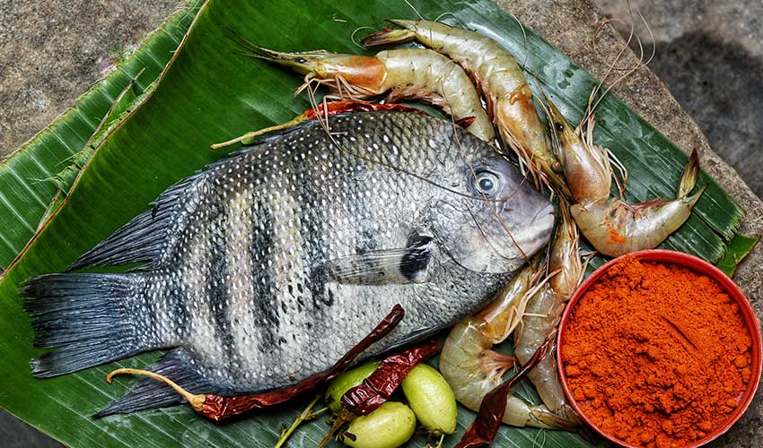 Lugares para comer em Fort Kochi