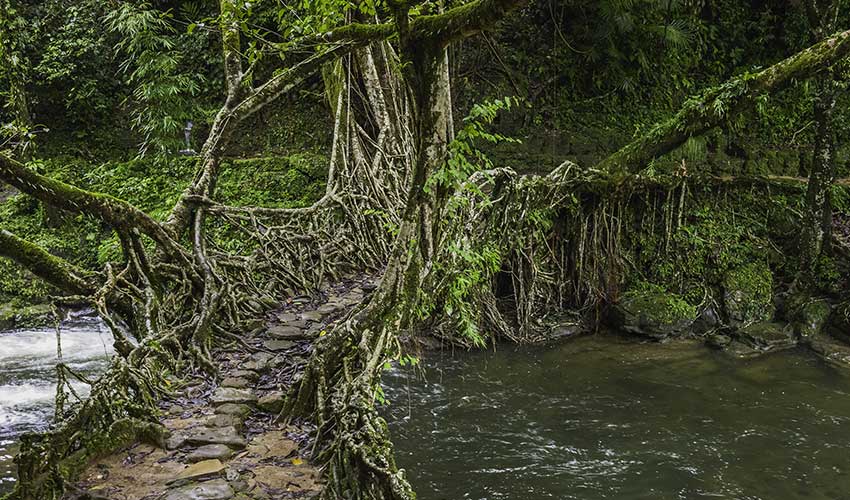 Formas de ser sustentável