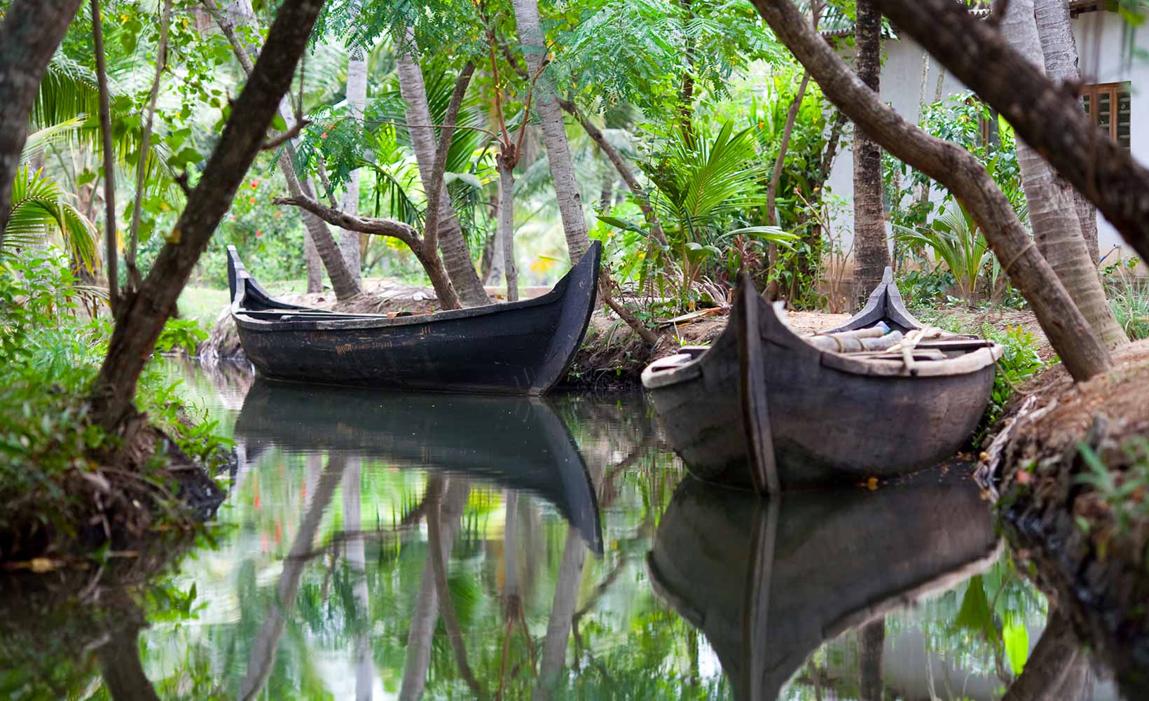 Un monde durable au-delà de la croisière Kerala Backwater