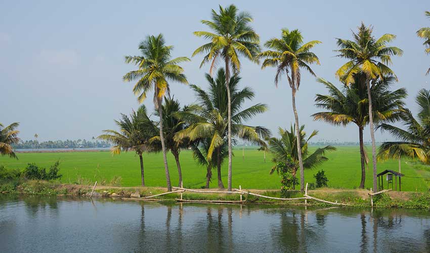 Kerala backwater cruise