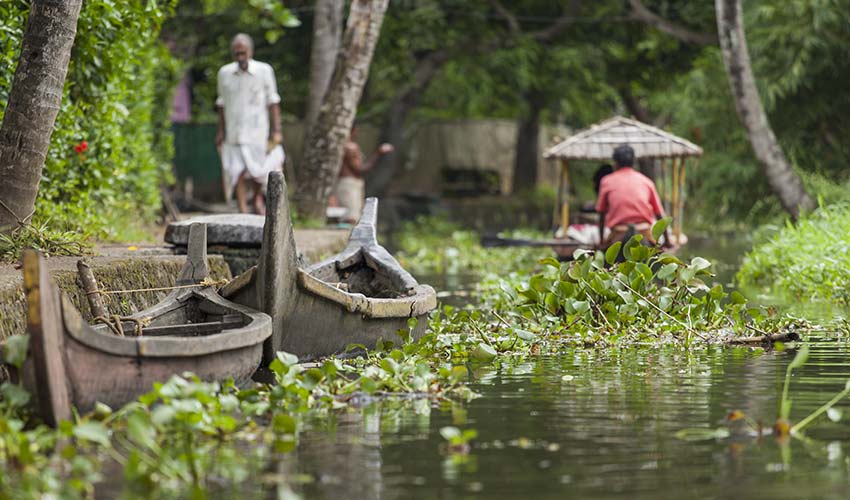 Visiting Backwaters Responsibly