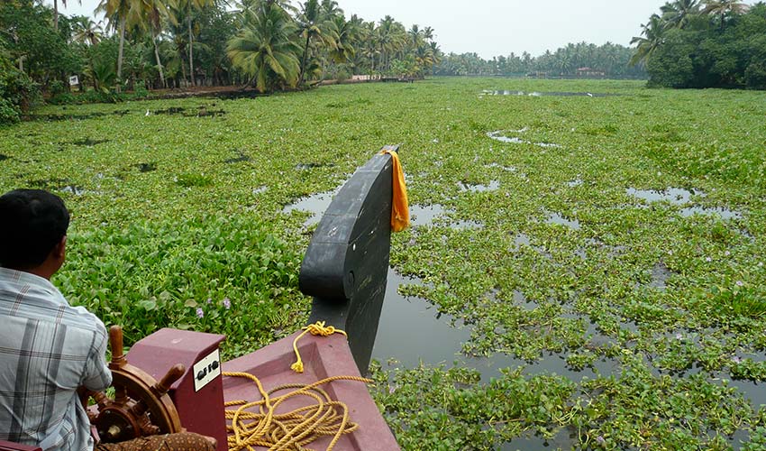 Visiting Backwaters Responsibly