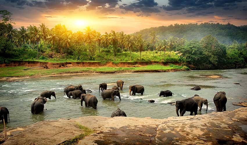 Lugares a visitar no Sri Lanka