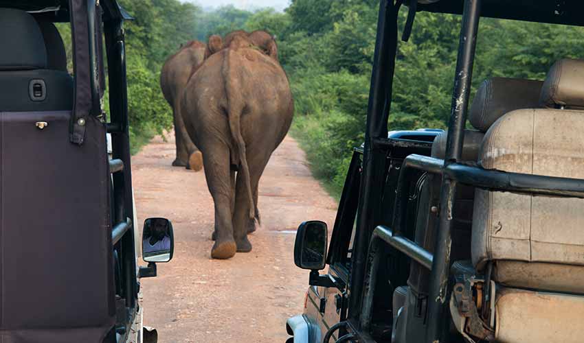 Viagem ao Sri Lanka