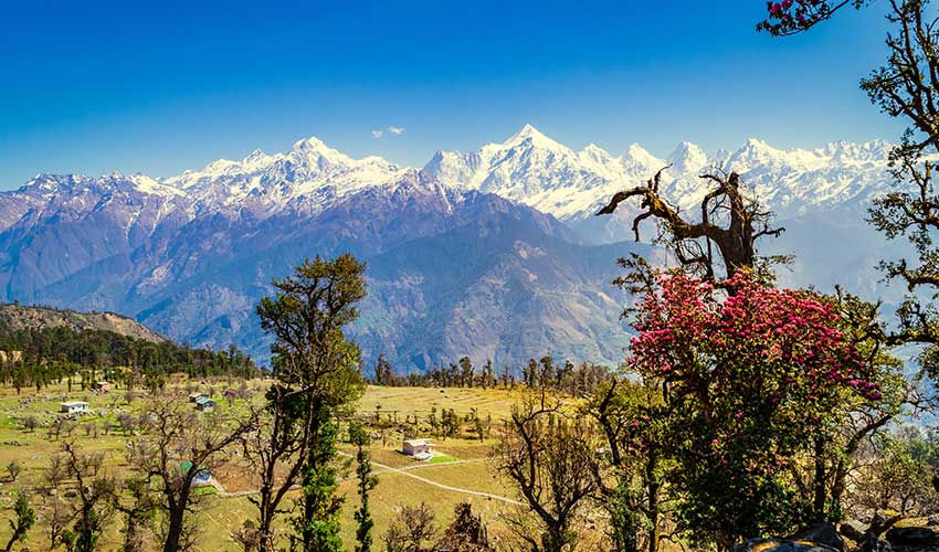 Cozinha Tradicional de Kumaon